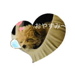 Ai_20230325084817unpo