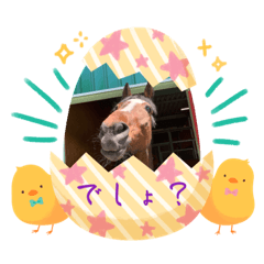 Alice_20230325104118