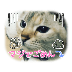 naz_20230325104807