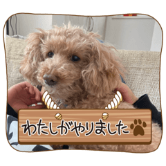 yugo_20230325121456