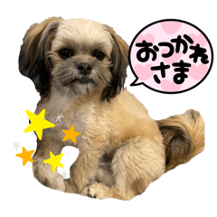 chisa_20230325123446