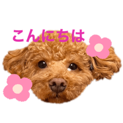 aoi_20230325123743