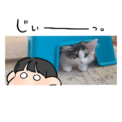 Peco_20230325155520