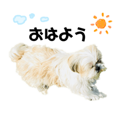 shiho_20230325152306