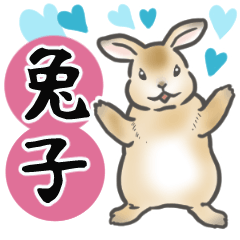 兔子（日常生活）