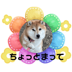 kana_20230325180353