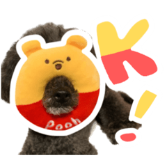kana_20230325195218