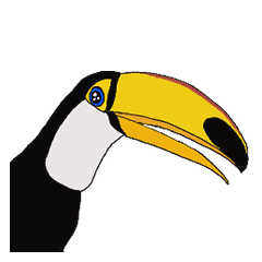 Cute toucan with sparkling eyes.