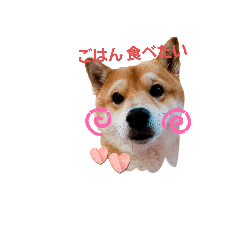 kana_20230326103144