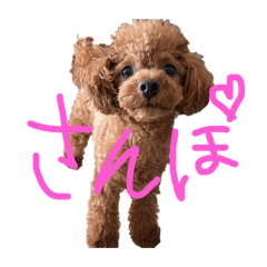 Chocolat stamp4