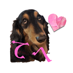 SAKURA_20230325211131