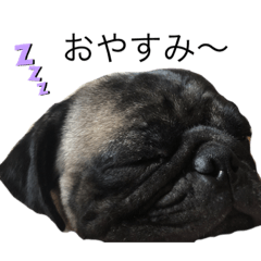 saori_20230325233701