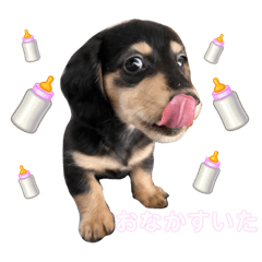 momoko_20230325191954