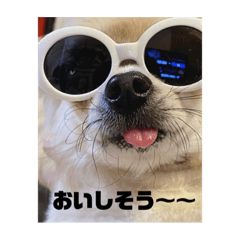 Yun_20230326095716