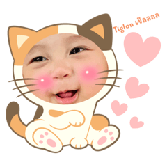 Hello Tiglon