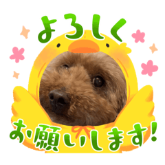 SAYURI_20230325222434