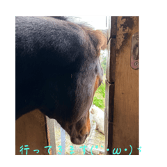 Alice_20230326111140