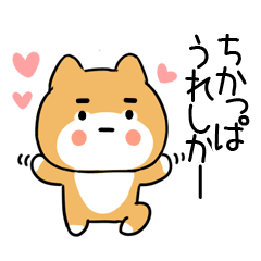 hakatainuinu9
