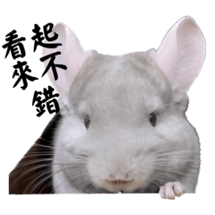 Gisjk