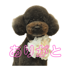 Sunny_20230326155949