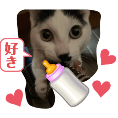 kinaco_20230326181202