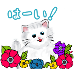 Messages from cute cats