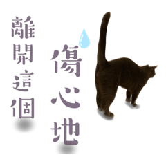 咘嚕的BLUE日記3