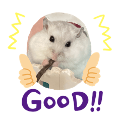 我最亮眼看見了嗎