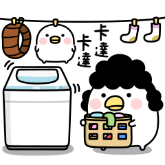 noisy chicken mother taiwan4