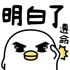 Noisy chicken taiwan16