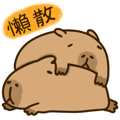 Kapi Capybara: Daily Use (TW)