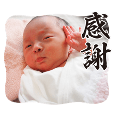 kobutakakuya_20230326170321