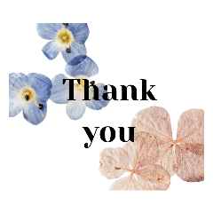 Sakura_20230326192918