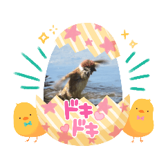 hana_20230326194501