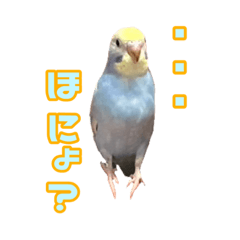 Sakura_20230326204139