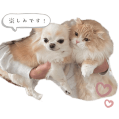 kii_20230326175336