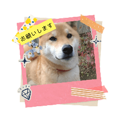 hikari_20230326233933