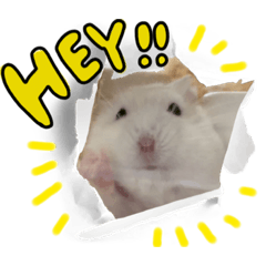 Mizuki_20230326222001