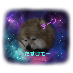 kaede_20230327101530