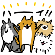 Dogs all year round