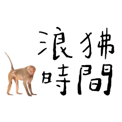 脫逃狒狒 大剿狒 東非狒狒