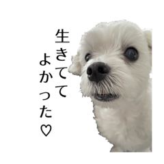 Kana_20230327162727