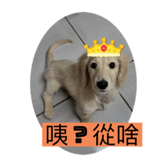麻糬的