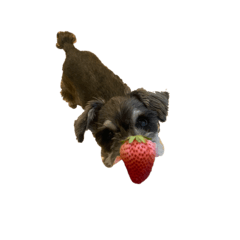 mizuki_20230327204412