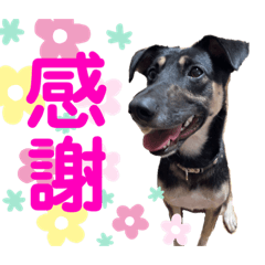 kana_20230327203556