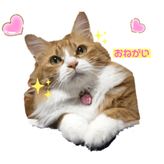 sakura_20230327201023