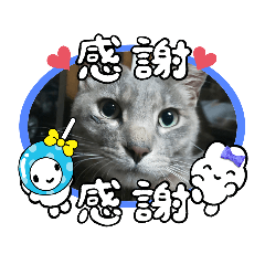 koz_20230327215542