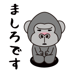 Interesting sticker gorilla(Mashiro)