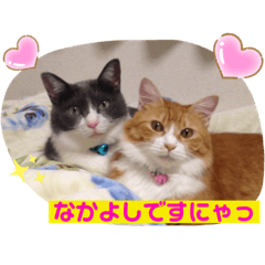 sakura_20230327205214