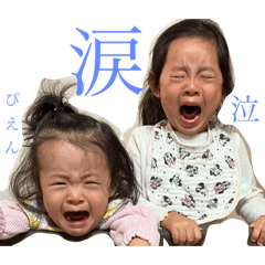 hikaru_20230327174518